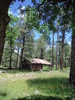 photo thumbnail #7