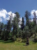 photo thumbnail #8
