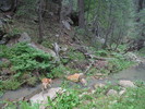 photo thumbnail #10
