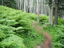 photo thumbnail #2