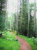 photo thumbnail #8