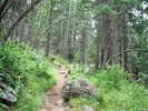 photo thumbnail #3