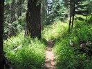 photo thumbnail #12