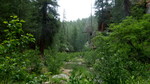 photo thumbnail #2