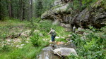 photo thumbnail #3