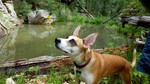 photo thumbnail #4