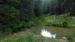 photo thumbnail #15