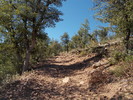 photo thumbnail #6