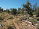 photo thumbnail #8