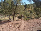 photo thumbnail #9
