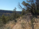 photo thumbnail #15