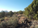 photo thumbnail #5