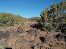 photo thumbnail #7