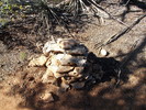 photo thumbnail #13