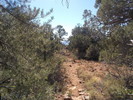 photo thumbnail #14