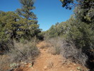 photo thumbnail #15