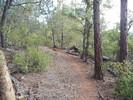 photo thumbnail #6