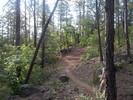photo thumbnail #7
