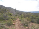 photo thumbnail #11