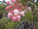 photo thumbnail #15