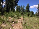 photo thumbnail #7