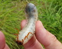 photo thumbnail #1