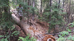photo thumbnail #8