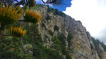 photo thumbnail #14