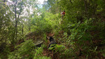 photo thumbnail #15