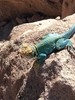 photo thumbnail #7