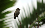 photo thumbnail #13