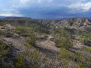 photo thumbnail #1