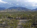 photo thumbnail #2