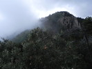 photo thumbnail #13