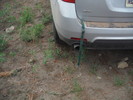 photo thumbnail #2