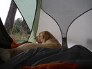 photo thumbnail #4