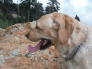 photo thumbnail #7