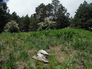 photo thumbnail #8