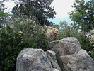 photo thumbnail #9