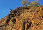 photo thumbnail #4
