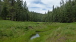 photo thumbnail #13