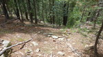 photo thumbnail #14