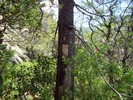 photo thumbnail #13