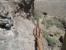 photo thumbnail #5