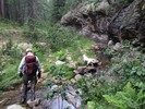 photo thumbnail #3