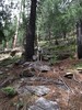 photo thumbnail #12