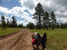photo thumbnail #1