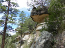 photo thumbnail #4