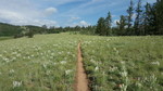 photo thumbnail #5