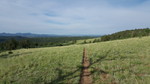 photo thumbnail #7